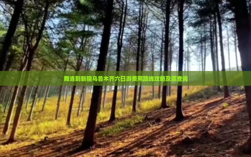 商洛到新疆乌鲁木齐六日游费用路线攻略及票查询