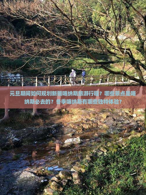 元旦期间如何规划新疆喀纳斯旅游行程？哪些景点是喀纳斯必去的？冬季喀纳斯有哪些独特体验？