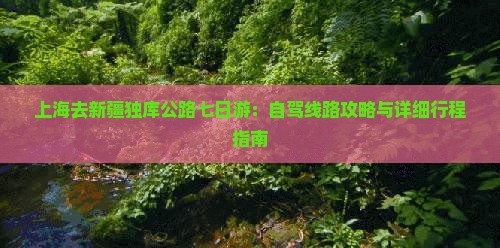 上海去新疆独库公路七日游：自驾线路攻略与详细行程指南