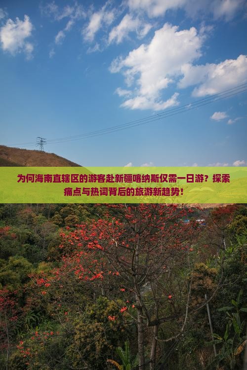 为何海南直辖区的游客赴新疆喀纳斯仅需一日游？探索痛点与热词背后的旅游新趋势！