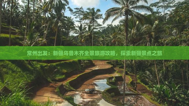 常州出发：新疆乌鲁木齐全景旅游攻略，探索新疆景点之旅