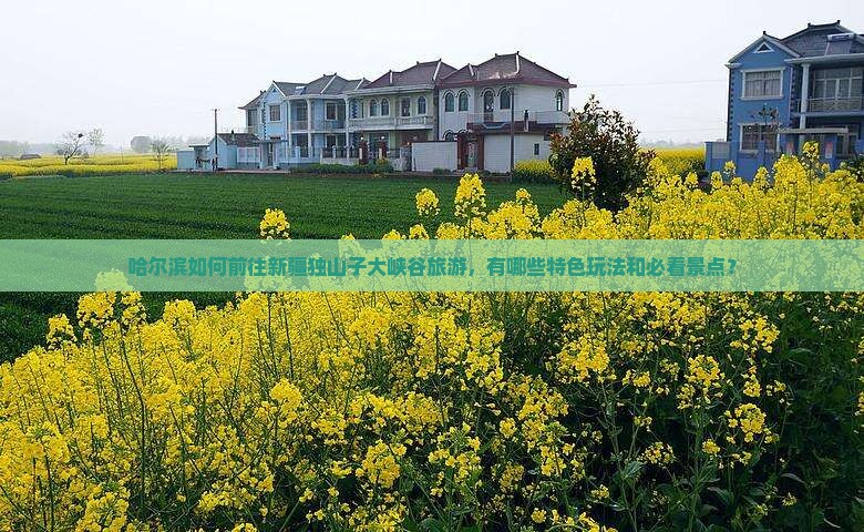哈尔滨如何前往新疆独山子大峡谷旅游，有哪些特色玩法和必看景点？