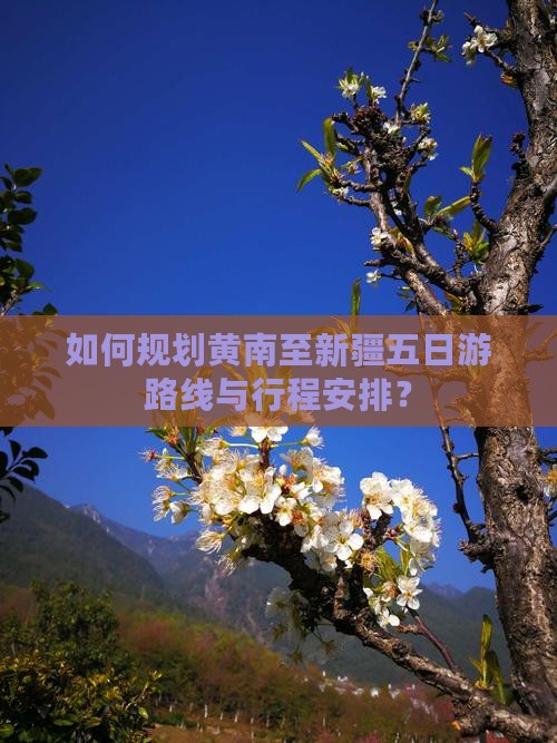 如何规划黄南至新疆五日游路线与行程安排？