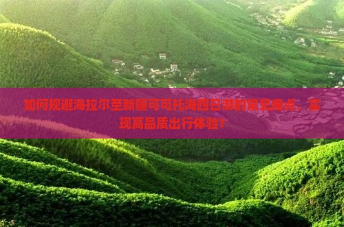 如何规避海拉尔至新疆可可托海四日游的常见痛点，实现高品质出行体验？
