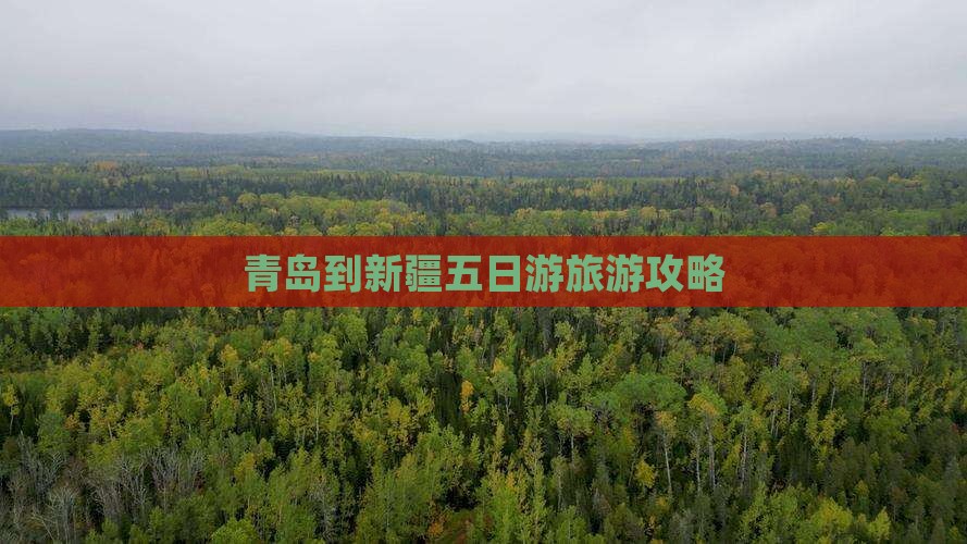 青岛到新疆五日游旅游攻略