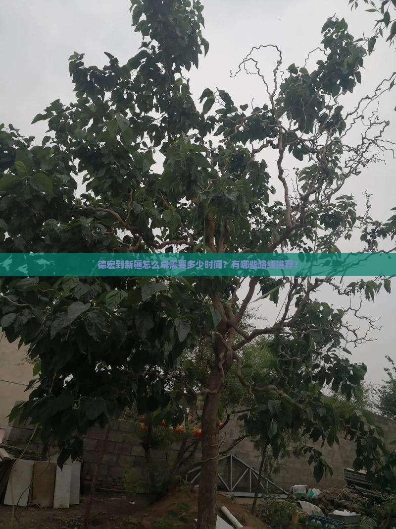 德宏到新疆怎么卓需要多少时间？有哪些路线推荐？