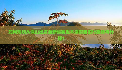 如何规划从保山出发至新疆赛里木湖的自由行路线与行程？
