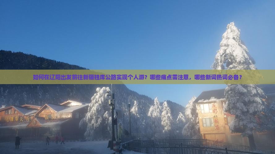 如何在辽阳出发前往新疆独库公路实现个人游？哪些痛点需注意，哪些新词热词必备？