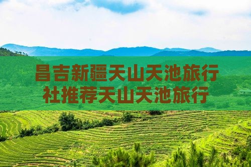 昌吉新疆天山天池旅行社推荐天山天池旅行