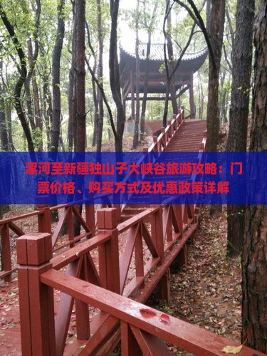 漯河至新疆独山子大峡谷旅游攻略：门票价格、购买方式及优惠政策详解