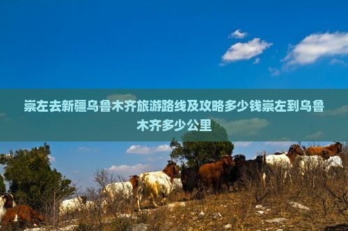 崇左去新疆乌鲁木齐旅游路线及攻略多少钱崇左到乌鲁木齐多少公里
