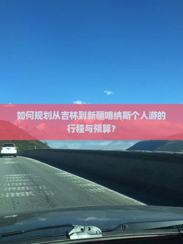 如何规划从吉林到新疆喀纳斯个人游的行程与预算？