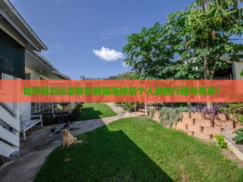 如何规划从吉林到新疆喀纳斯个人游的行程与预算？