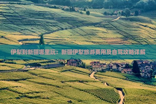 伊犁到新疆哪里玩：新疆伊犁旅游费用及自驾攻略详解