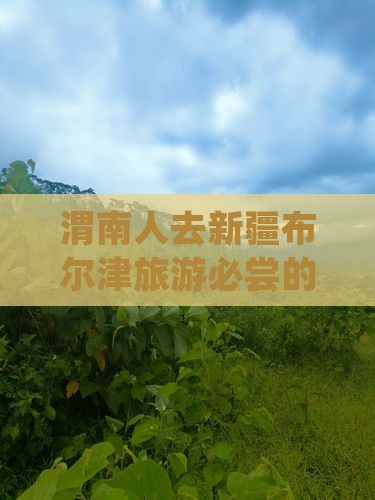 渭南人去新疆布尔津旅游必尝的小吃