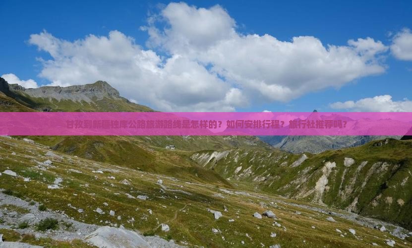 甘孜到新疆独库公路旅游路线是怎样的？如何安排行程？旅行社推荐吗？