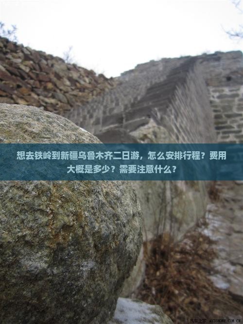 想去铁岭到新疆乌鲁木齐二日游，怎么安排行程？费用大概是多少？需要注意什么？