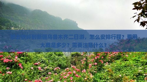 想去铁岭到新疆乌鲁木齐二日游，怎么安排行程？费用大概是多少？需要注意什么？