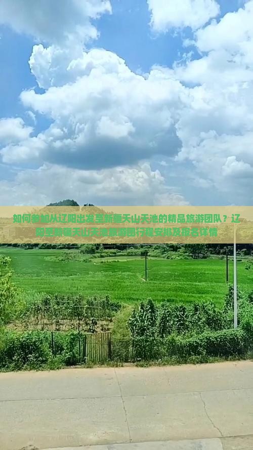 如何参加从辽阳出发至新疆天山天池的精品旅游团队？辽阳至新疆天山天池旅游团行程安排及报名详情