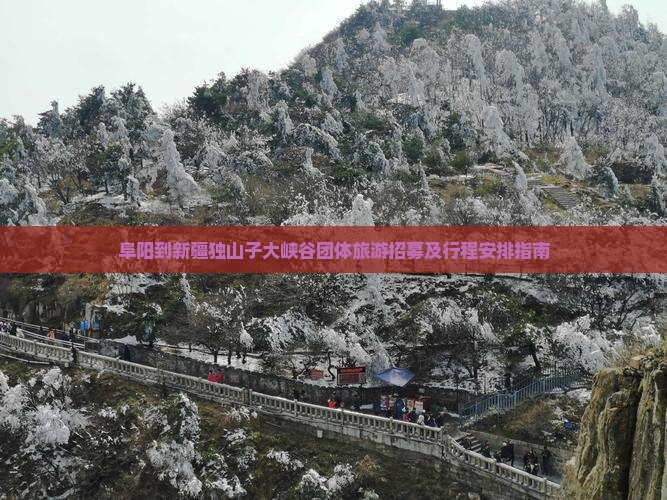 阜阳到新疆独山子大峡谷团体旅游招募及行程安排指南
