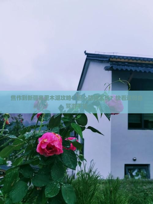 焦作到新疆赛里木湖攻略？担心路线太长？快看这份自驾游干货