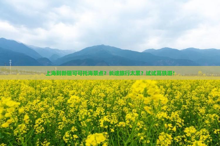 上海到新疆可可托海景点？长途旅行太累？试试高铁游！