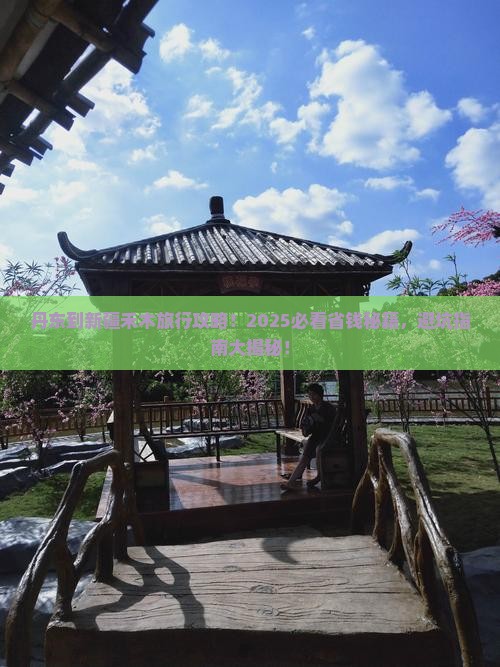丹东到新疆禾木旅行社