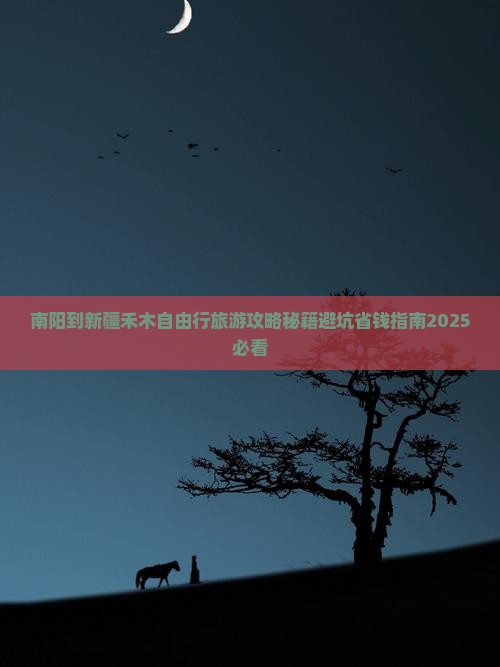 南阳到新疆禾木自由行