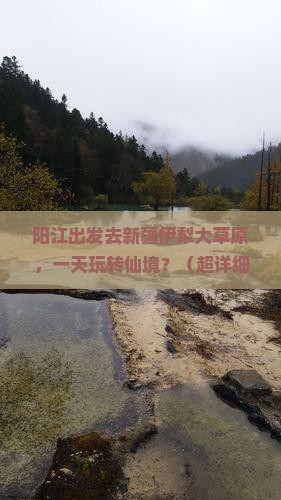 阳江去新疆伊犁大草原一日
