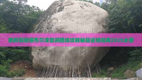 鹤岗到新疆布尔津旅行社