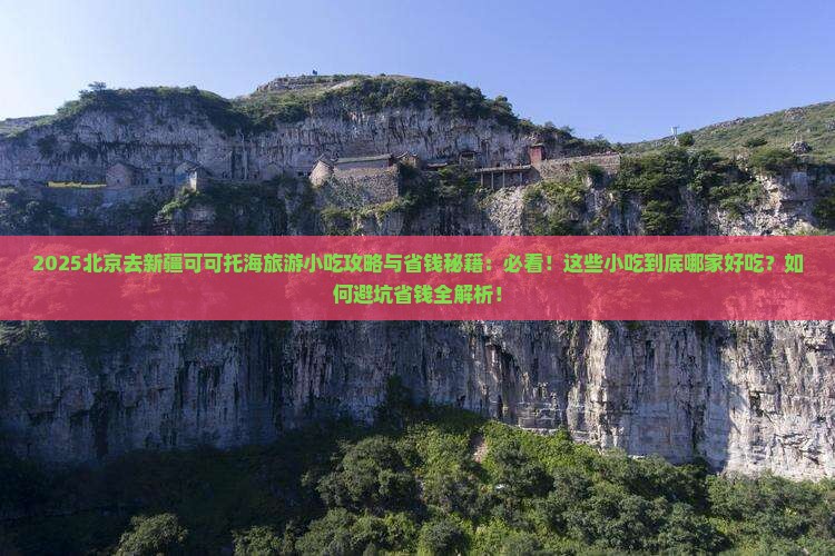 北京去新疆可可托海旅游小吃