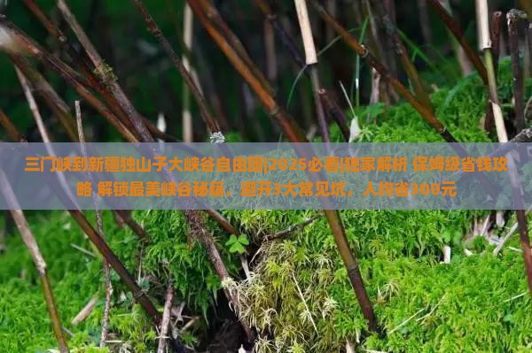 三门峡到新疆独山子大峡谷自由团