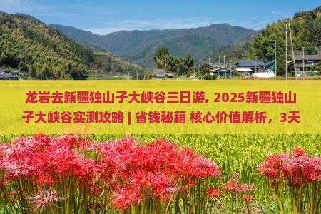 龙岩去新疆独山子大峡谷三日游
