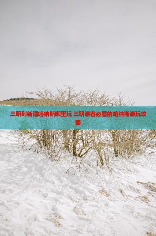 三明到新疆喀纳斯哪里玩