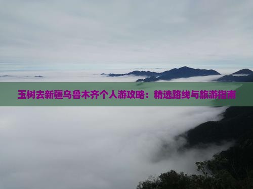 玉树去新疆乌鲁木齐个人游