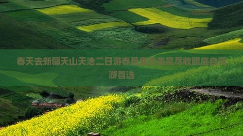 春天去新疆天山天池二日游