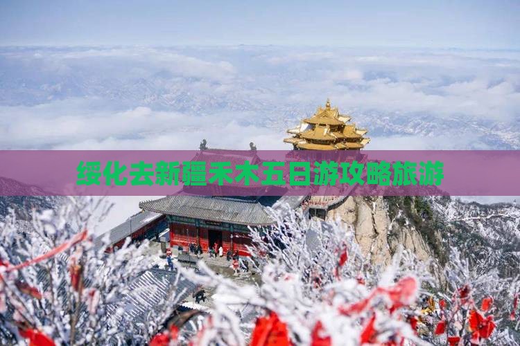 绥化去新疆禾木五日游