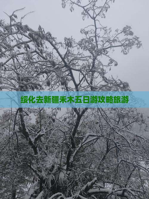 绥化去新疆禾木五日游