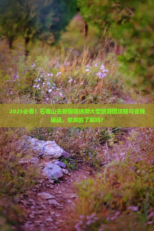 石嘴山去新疆喀纳斯大型旅游团