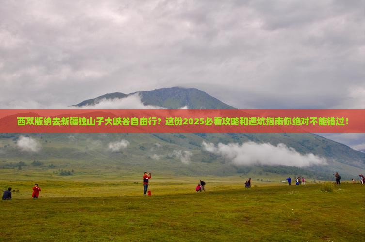 西双版纳去新疆独山子大峡谷自由行