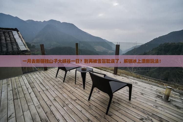 一月去新疆独山子大峡谷一日