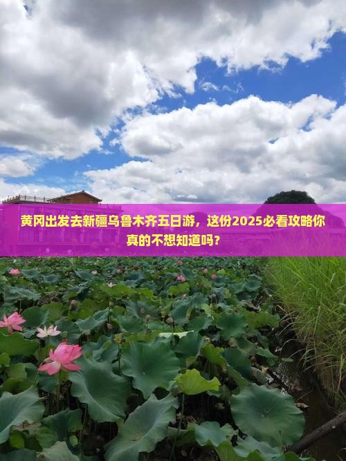 黄冈去新疆乌鲁木齐五日游