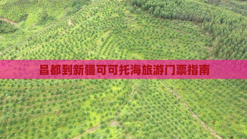 昌都到新疆可可托海门票
