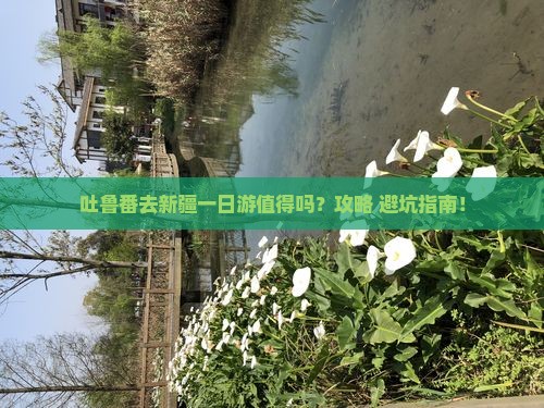 吐鲁番去新疆一日