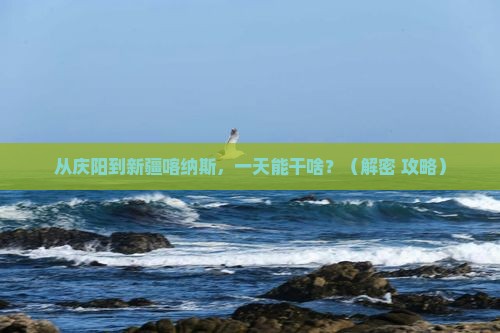 庆阳到新疆喀纳斯一日
