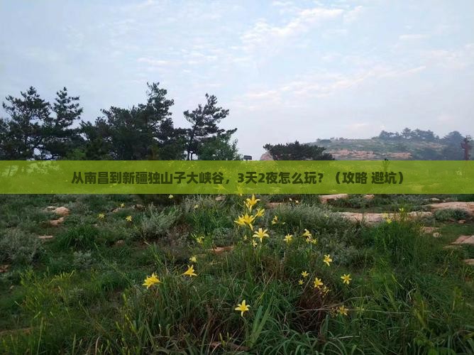 南昌到新疆独山子大峡谷个人游