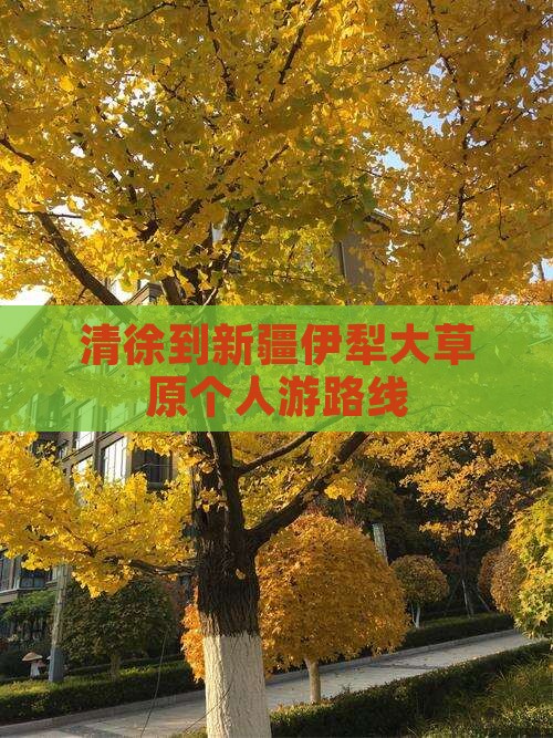 清徐到新疆伊犁大草原个人游