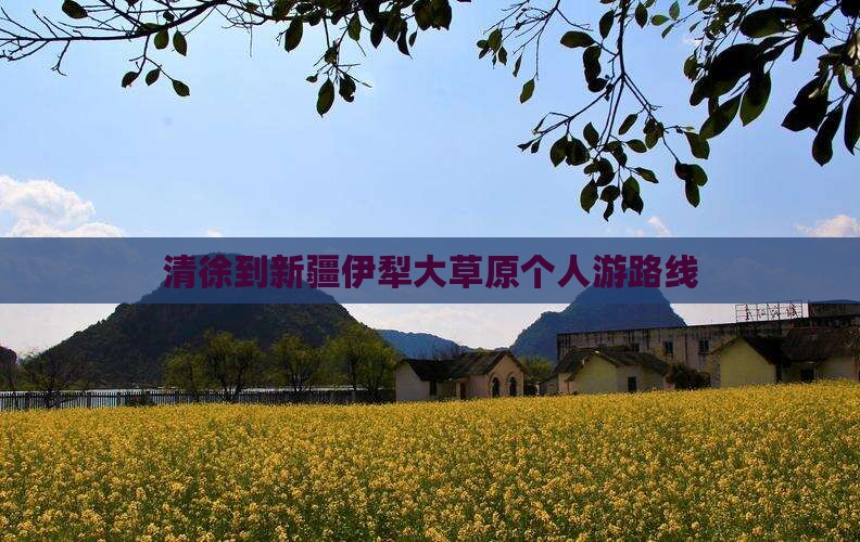清徐到新疆伊犁大草原个人游