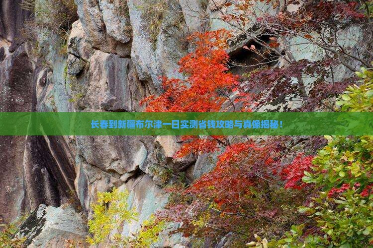 长春到新疆布尔津一日