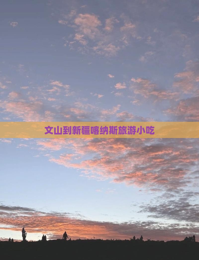 文山到新疆喀纳斯旅游小吃
